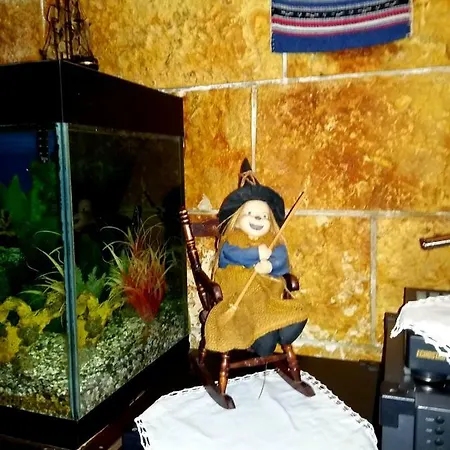 Guillermo's House